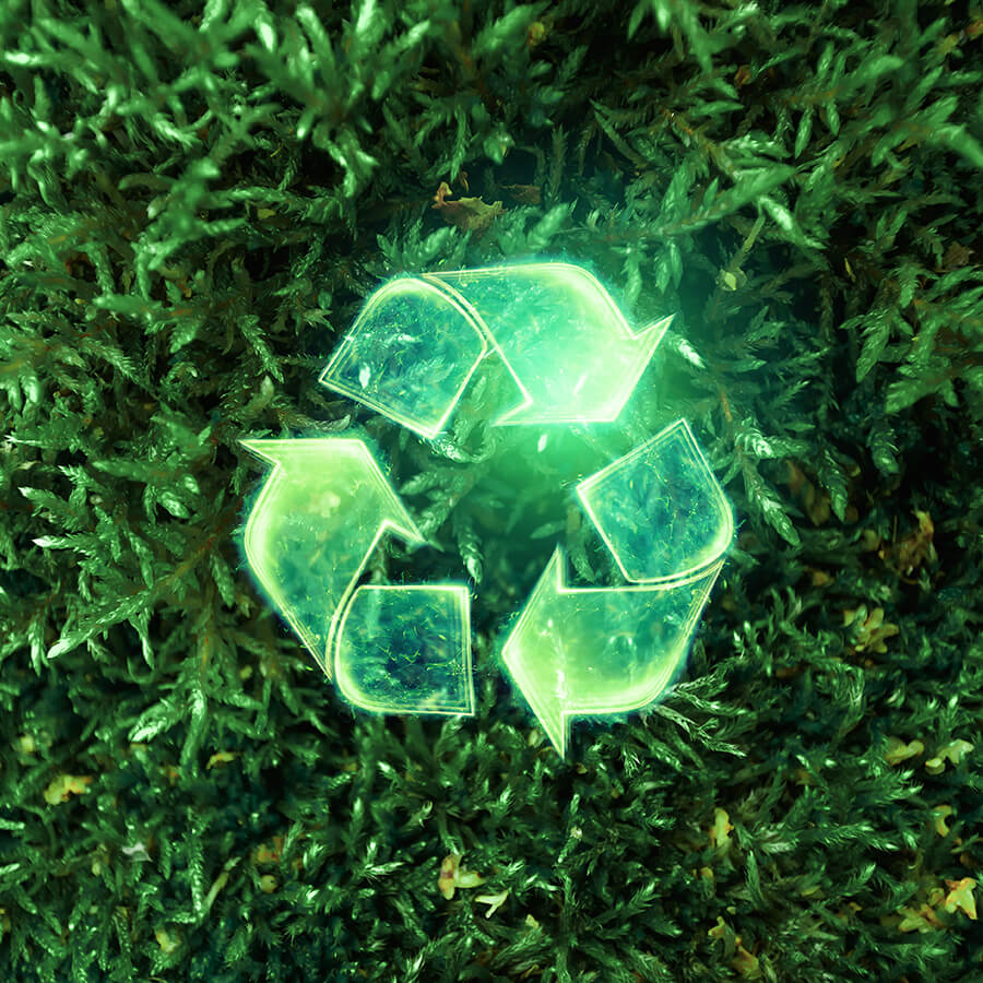 Sustainability Packaging Solutions